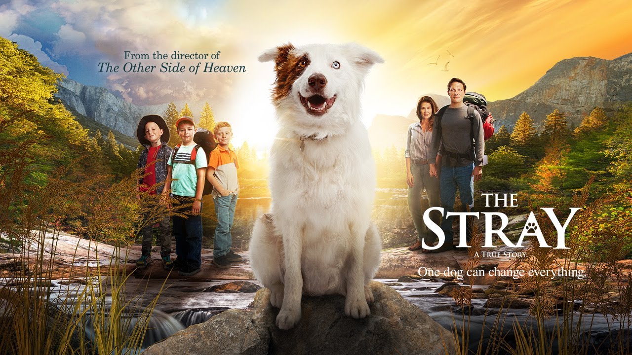 'The Stray' movie for the whole family. family in 'The Stray'